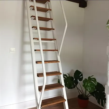 Ferienhaus Rural Norte